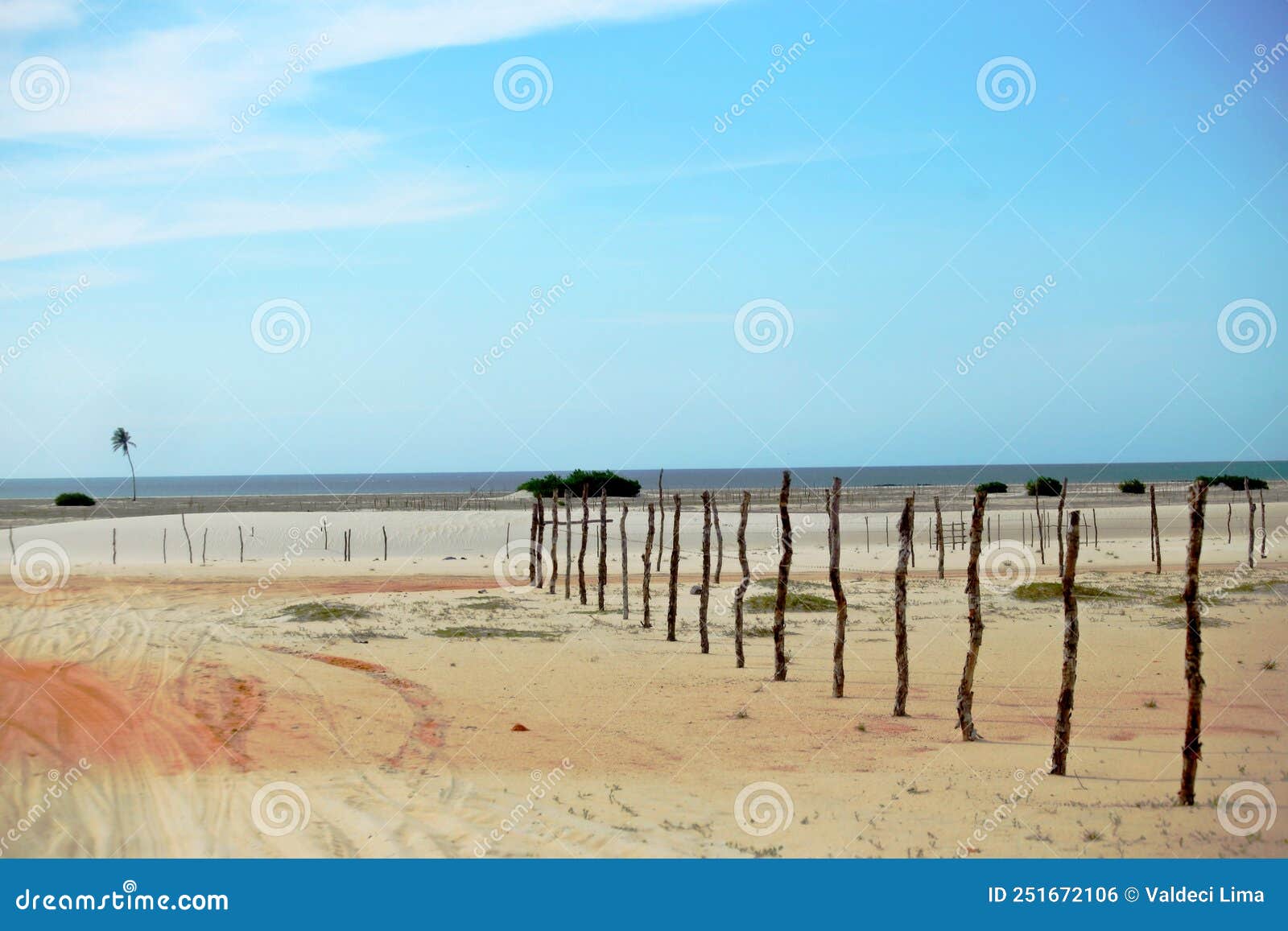 fence made of tree branches, delimited area on the coast near the beach, typical of the coast of northeastern brazil.